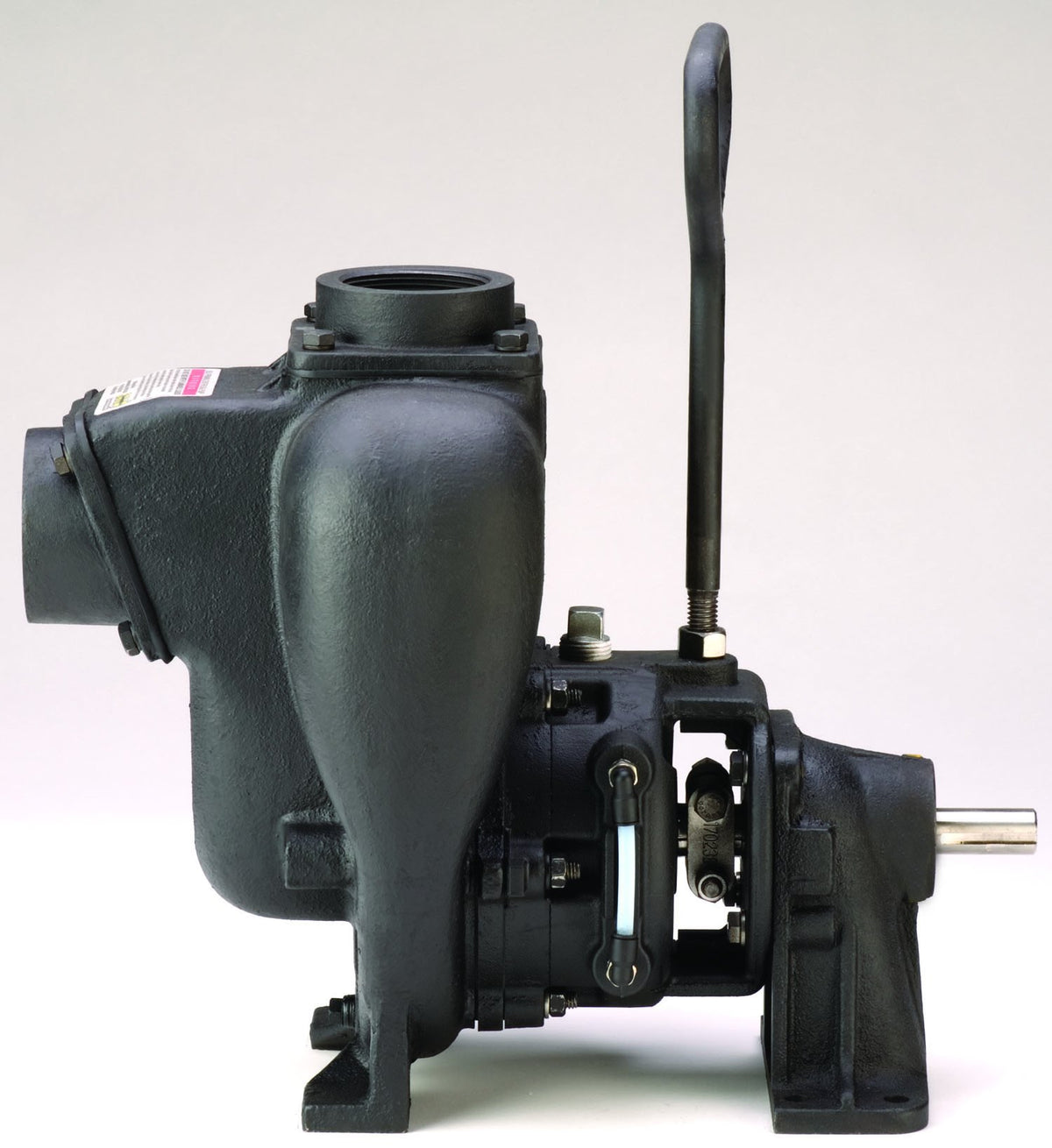 Banjo 201PBIW — 2" Cast Iron WS Pump With Bearing