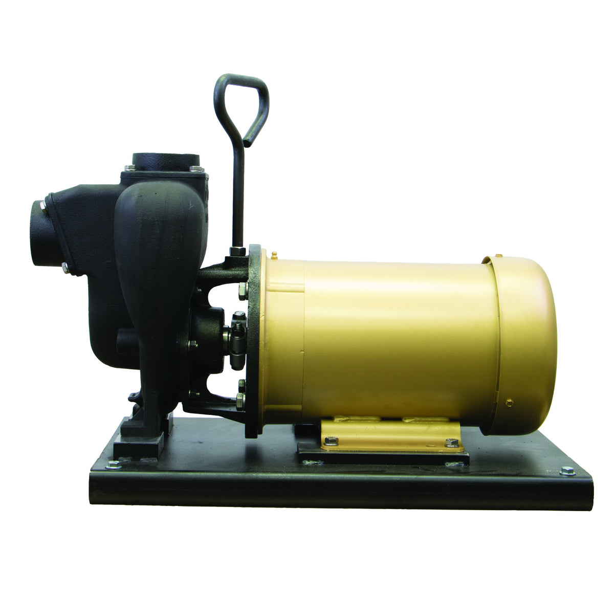 Banjo 234PIE5 — 2" Cast Iron Pump With 5HP Three Phase