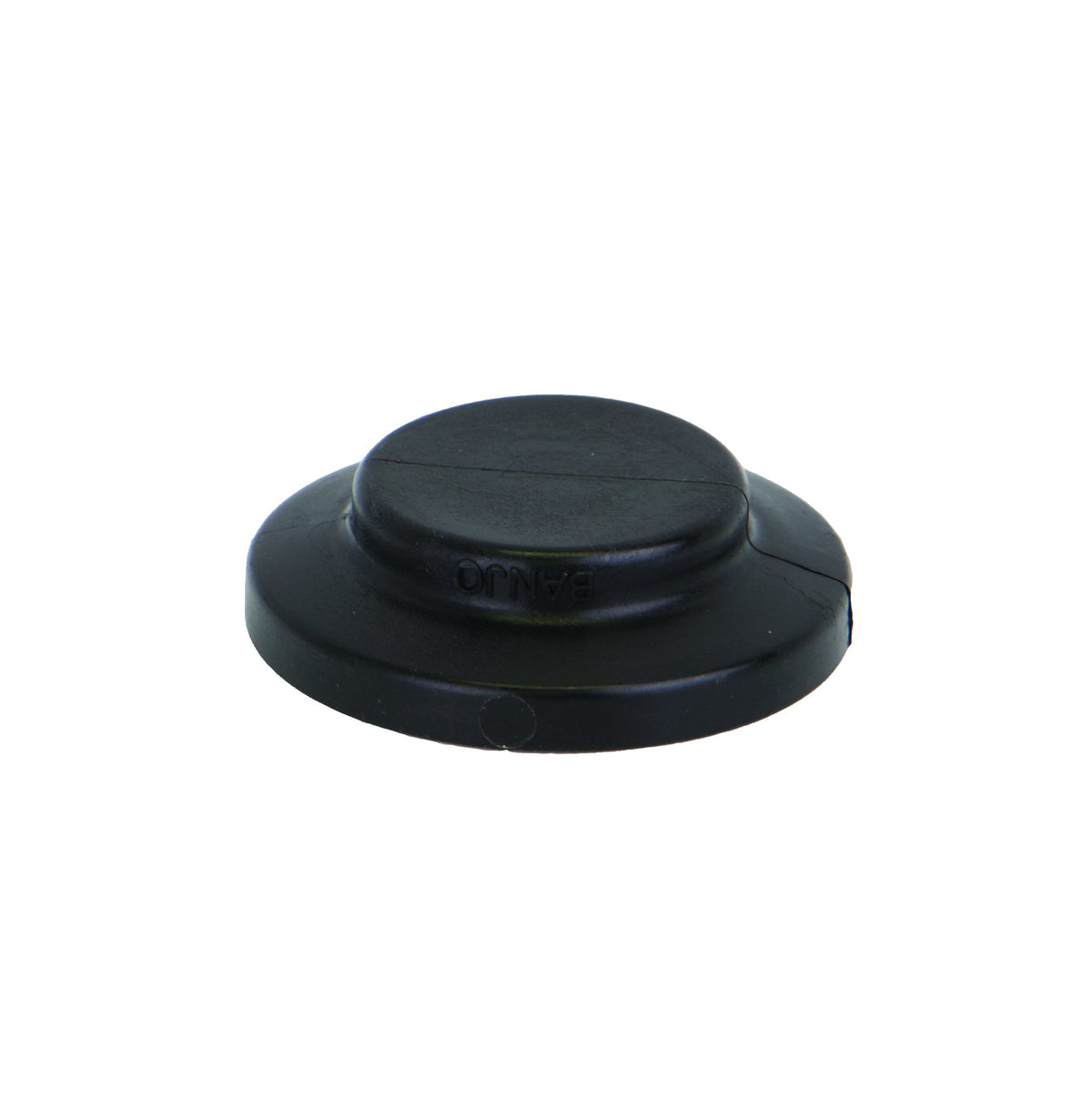 Banjo M100PLG — 1" Flange Plug
