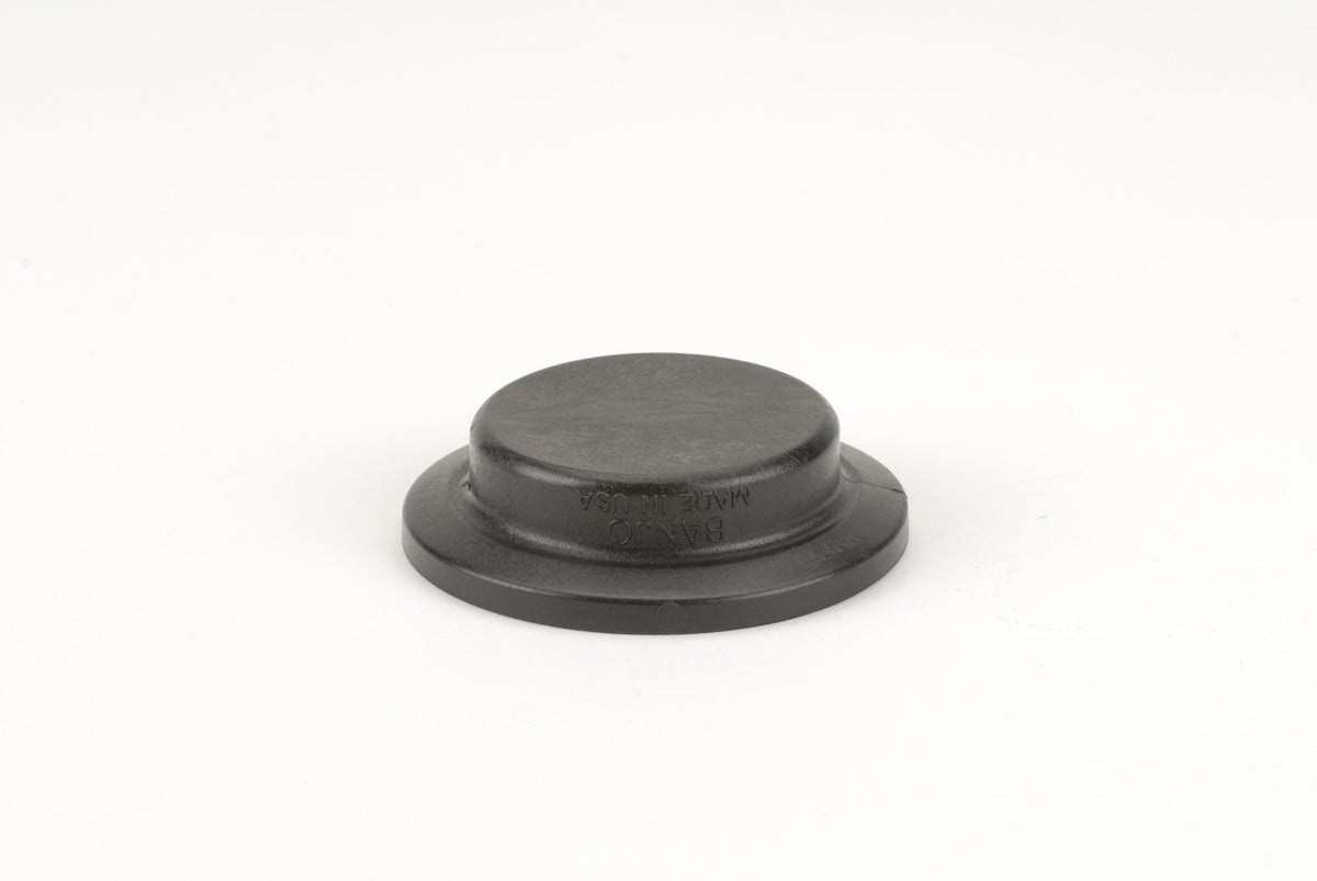 Banjo M220PLG — 2" Full Port Flange Plug