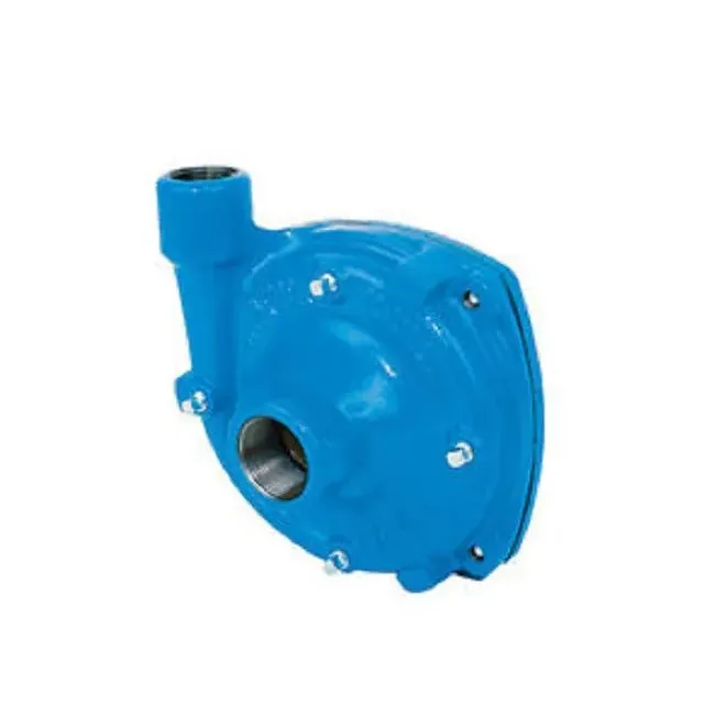 Blue cast iron centrifugal pump housing with a threaded inlet and outlet port for industrial fluid systems.