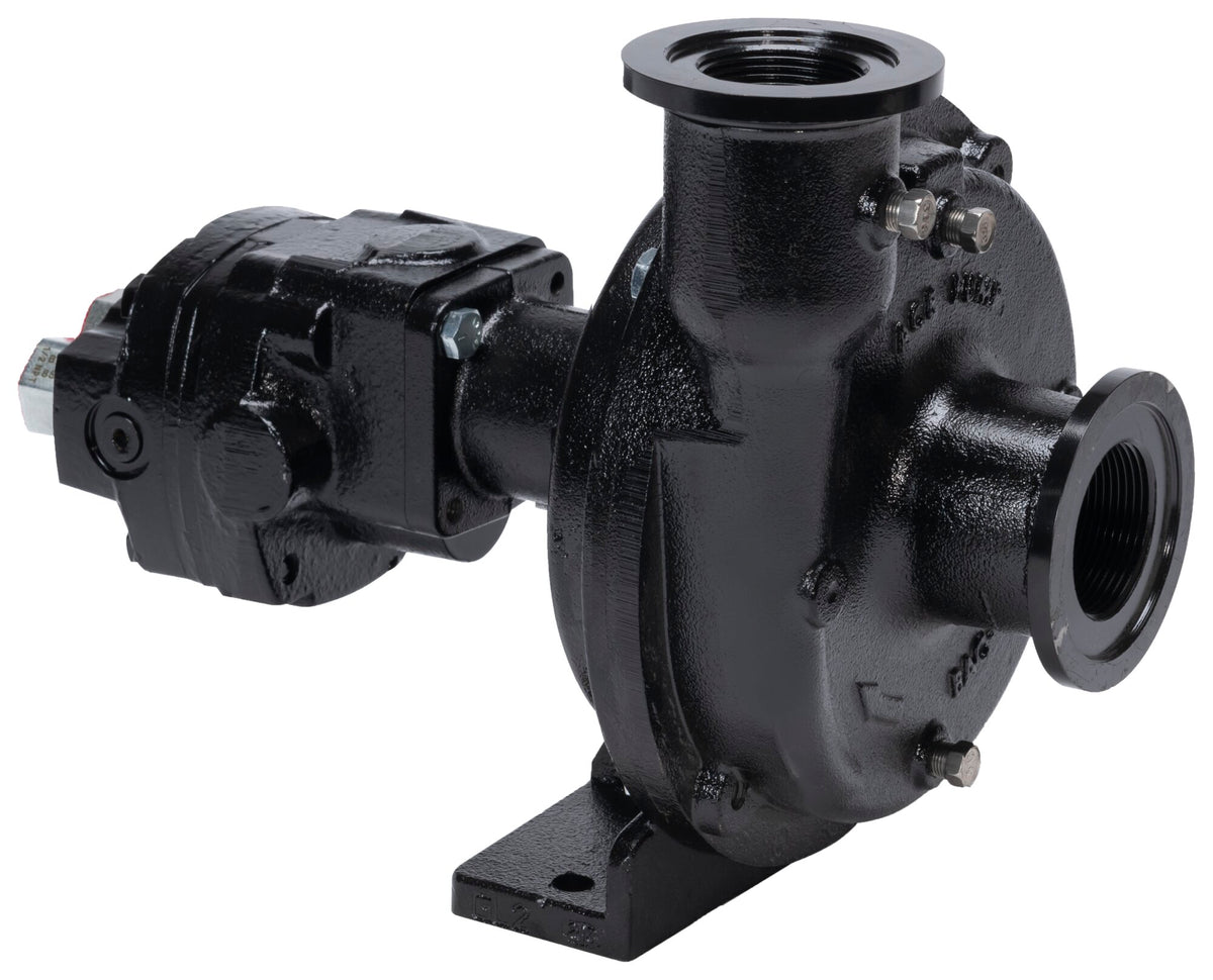 Ace FMCSC-155F-HYD-304 centrifugal pump