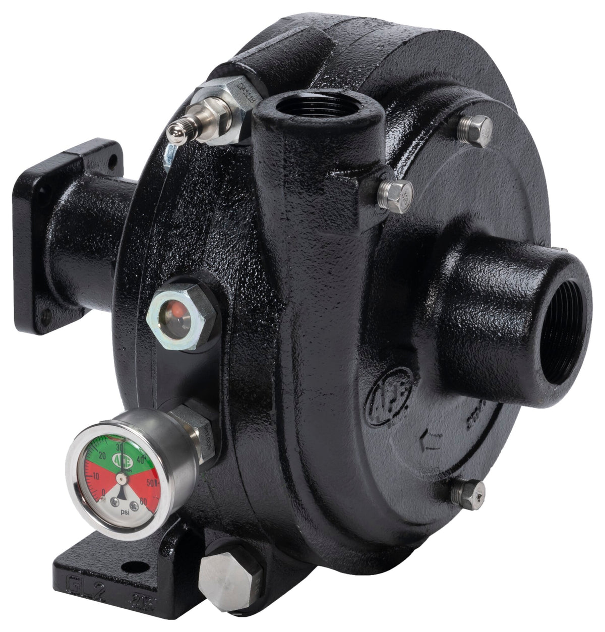 Ace FMCWS-125-HYD-LM centrifugal pump