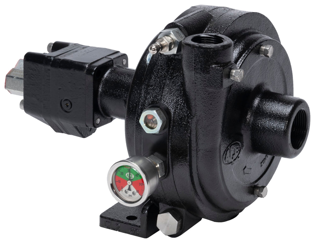 Ace FMCWS-125-HYD centrifugal pump