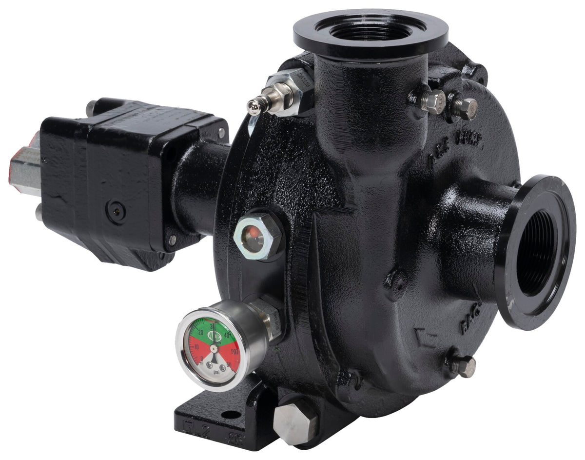 Ace FMCWS-155F-HYD-206 centrifugal pump
