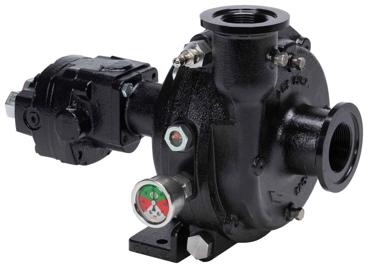 Ace FMCWS-155F-HYD-304 centrifugal pump