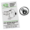 Ace RK-BAC-75-HYD — genuine Ace Pump part