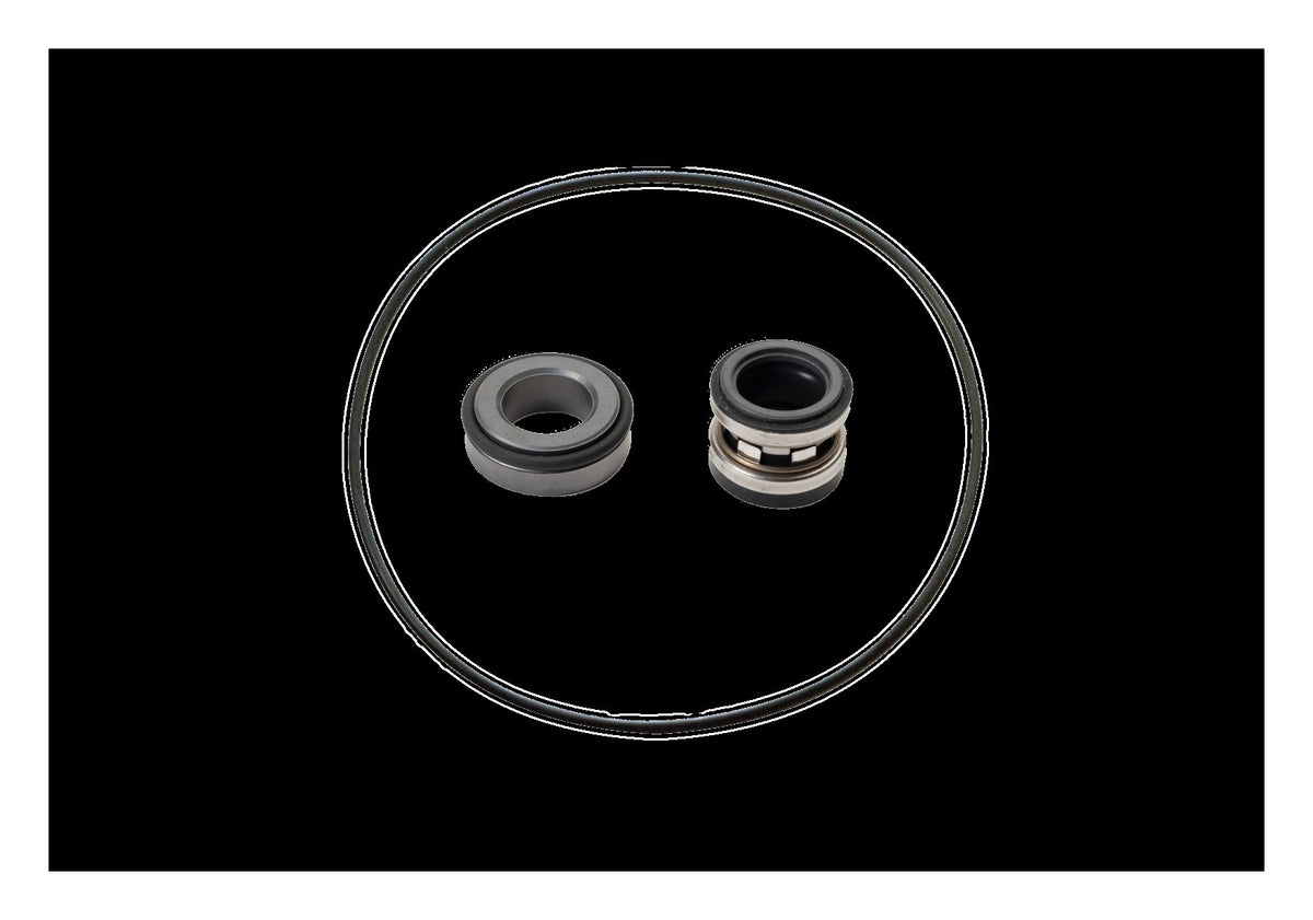 Ace RK-FMCSC-205 — genuine Ace Pump part