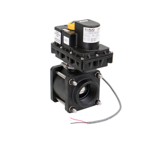 Banjo EV204FP product photo