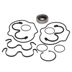 Banjo HY1001 product photo