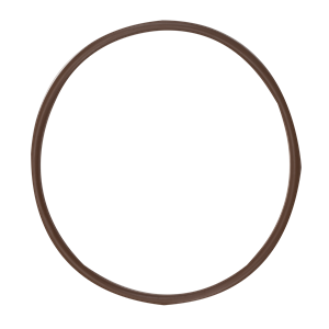 Banjo MLS300ECGV product photo