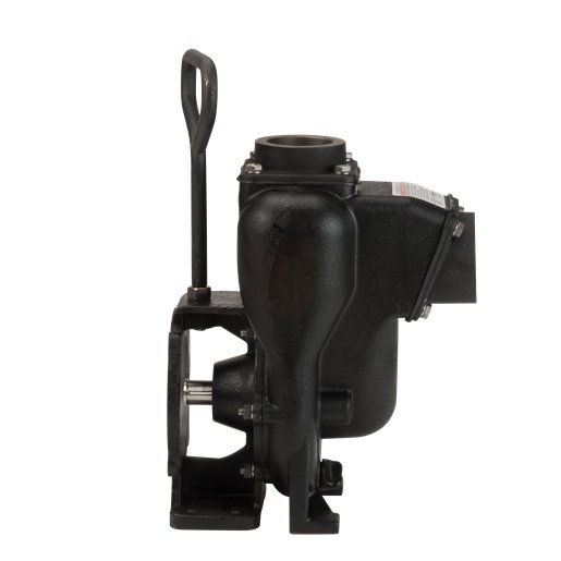 Banjo 200POICF5/8 — 2" Cast Iron Pump Only, C FLNG-5/8" Shft