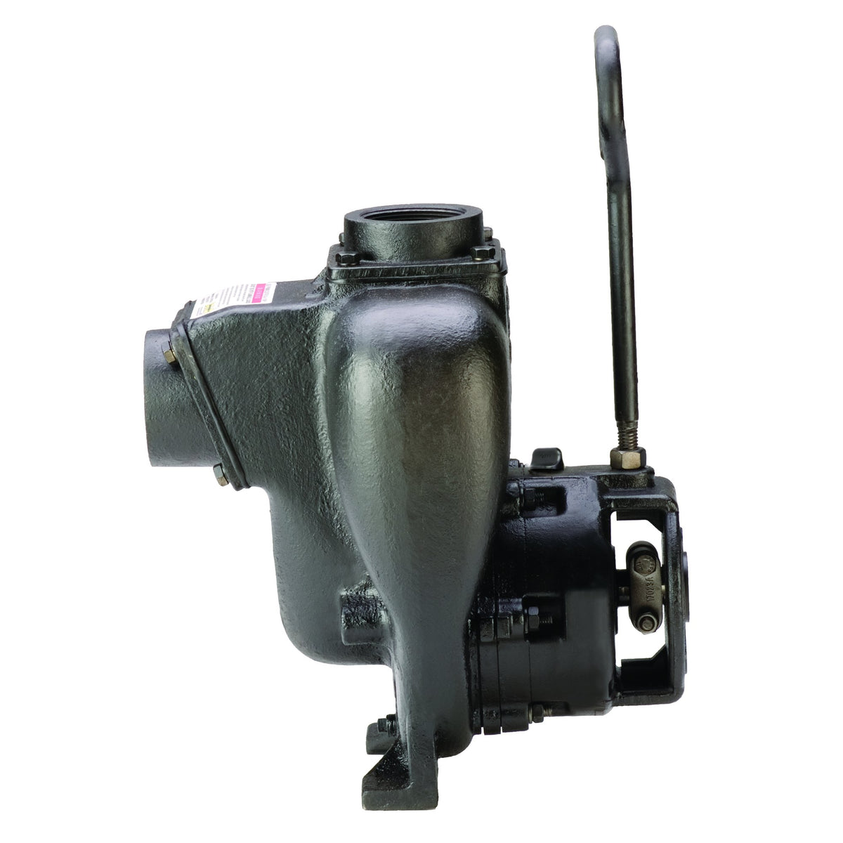 Banjo 201POIW — 2" Cast Iron WS Pump Only