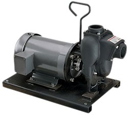 Banjo 234PIE51 — 2" Cast Iron Pump With 5HP Single Phase