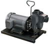 Banjo 234PIE51 — 2" Cast Iron Pump With 5HP Single Phase
