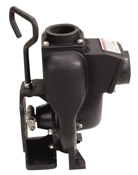 Banjo 300POI — 3" Cast Iron Pump Only With 1" Shaft