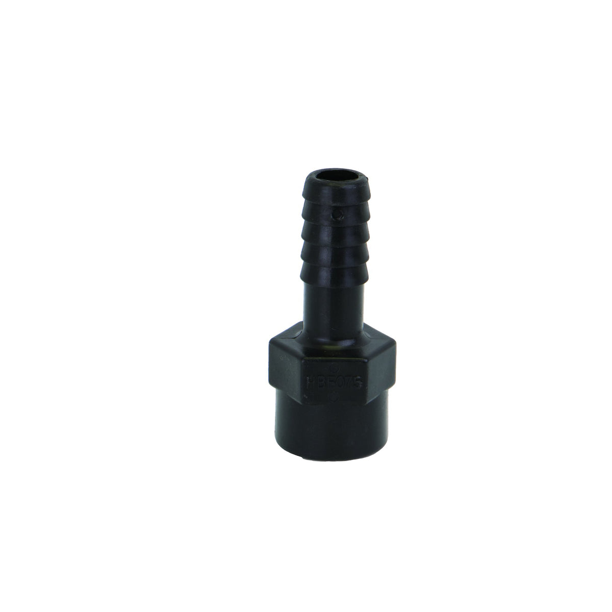 Banjo HBF075 — 3/4" Female Thread