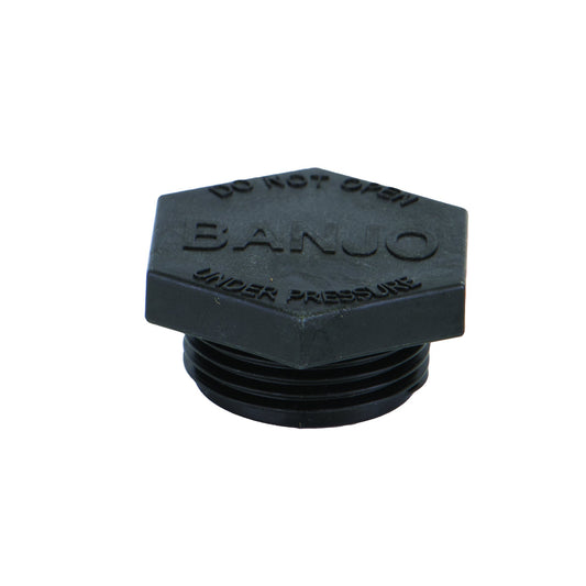 Banjo LSQ200-PL — Lsq Strainer Plug