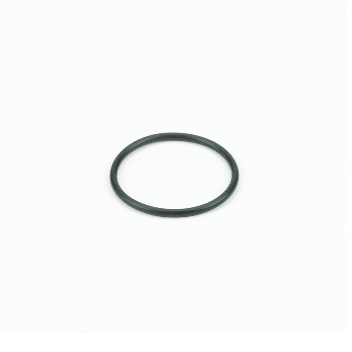 Banjo LST100-G — 3/4" & 1" Poly T Strainer Gasket