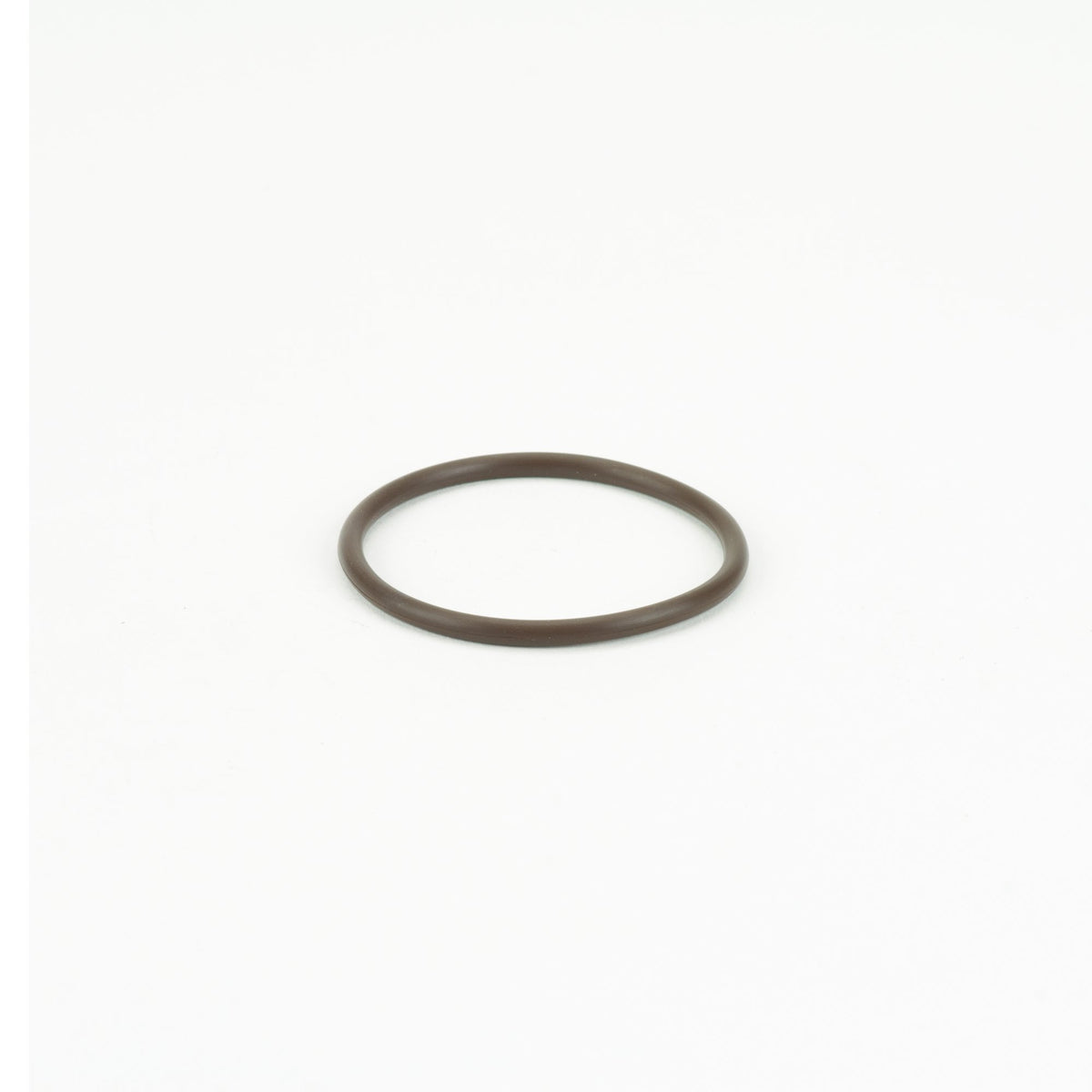 Banjo LST100-GV — 1" Poly T Strainer Gasket