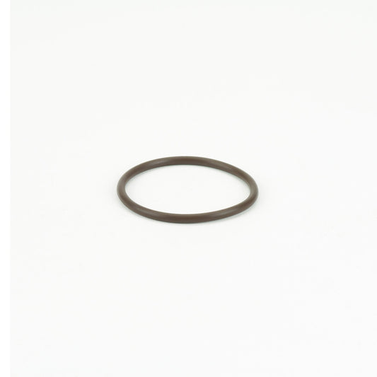 Banjo LST100-GV — 1" Poly T Strainer Gasket