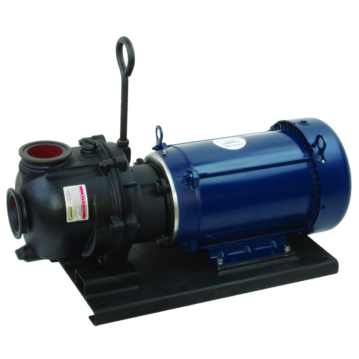 Banjo M332PIE10W — 3" Cast Iron Manifold WS Pump With 10