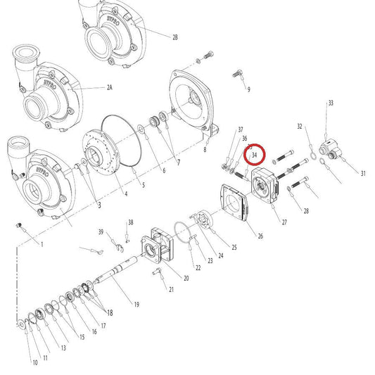 Hypro 3220-0029 Valve Stem — parts diagram, item circled